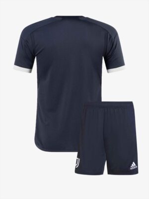 Juventus-Third-Jersey-And-Shorts-23-24-Season-Backt