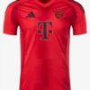 Bayern Munich Home Jersey 24 25 Season