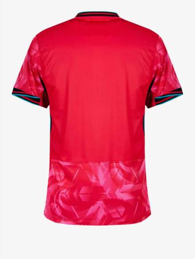 South-Korea-Home-Jersey-24-25-Season-Back