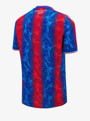 Crystal-Palace-Home-Jersey-24-25-Season-Back