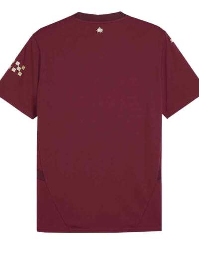 Manchester-City-Third-Jersey-24-25-Season-Back