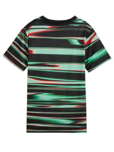 Portugal-Pre-Match-Jersey-24-25-Season-Back