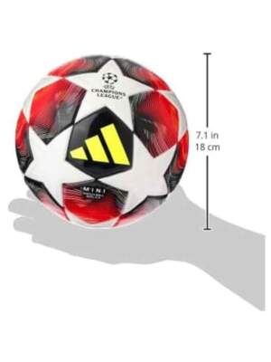 UEFA-Champions-League-Match-Ball-Size-5-Size