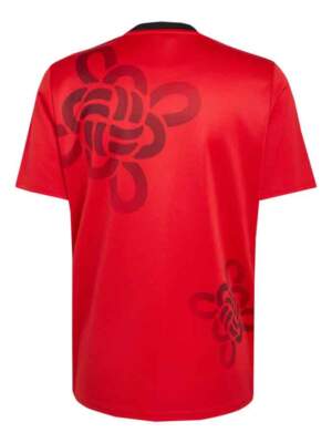 Manchester-United-Cultural-Story-Red-Jersey-25-26-Season-Back